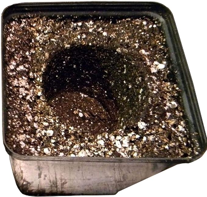 Sun Gro SUGRBG2 13020402 Black Gold Natural and Organic Soil 2 Cubic Feet (Тhrее Pаck)