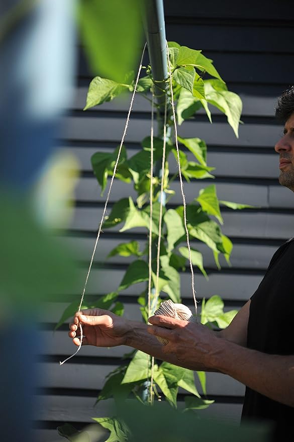 Seattle Urban Farm Company - Freyr Trellis - Vegetable Garden Trellis for Tomatoes Cucumbers Beans Peas and More