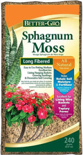 50430 Better-GRO Sphagnum Moss Growing Medium 240 Grams Pack of 3