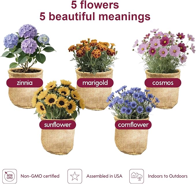 Herbsy 5 Indoor Flower Growing Kit Complete Planting Starter Set with Sunflower Zinnia Marigold Cosmos Cornflower Seeds Unique Birthday and Christmas Gifts for Women Men Plant Lovers
