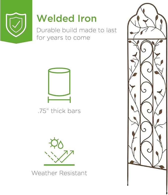 Best Choice Products Set of 2 60x15-inch Iron Arched Garden Trellis w/Branches Birds for Lawn Garden Backyard Climbing Plants