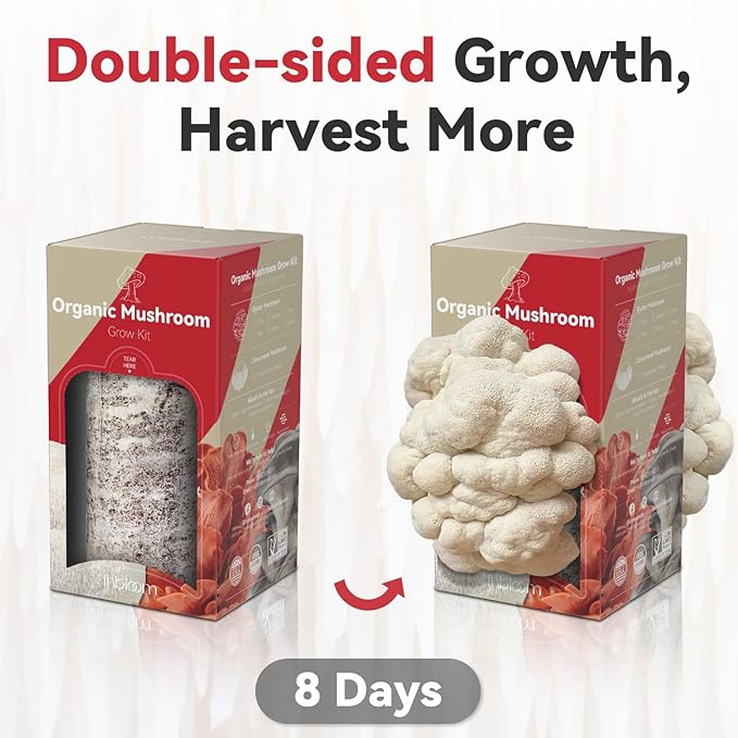 inbloom Organic Lion's Mane Mushroom Growing Kit with Spray Harvest Fresh Mushrooms at Home Beginner Friendly &amp Easy to Use Unique Gardening Gift for Holiday Handmade in New Jersey USA