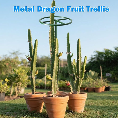 1 Pcs Adjustable Round Dragon Fruit TrellisDurable Metal Plant Trellis Outdoor Climbing Plants Support Frame for Vertical Gardening Trees Cactus Green