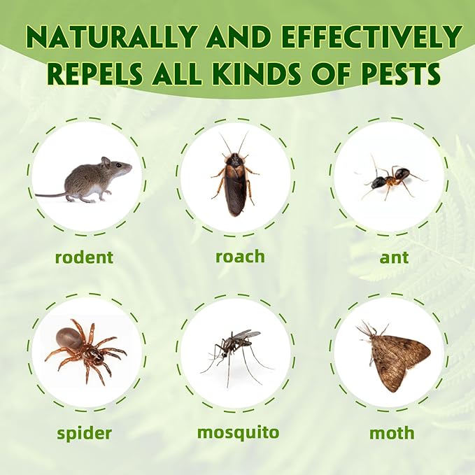 Rodent Repellent with Peppermint Oil – Mouse &amp Squirrel Deterrent for Car Engines Garage Attic – Rat/Mole/Mice Repellent – Indoor Outdoor Use – Alternative to Mouse Trap &amp Moth Balls.(58 Pac