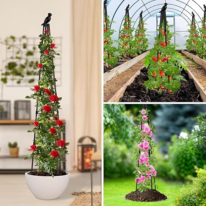 160cm Rustproof Garden Trellis for Climbing Plants Metal Obelisk Potted Plants Tomato Cages for Sweet Pea Frame Rose Trellis Vegetables Fruits