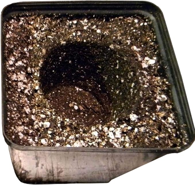 SunGro Black Gold 2 Cu Ft Natural &amp Organic Potting Soil + Fertilizer (4 Pack)