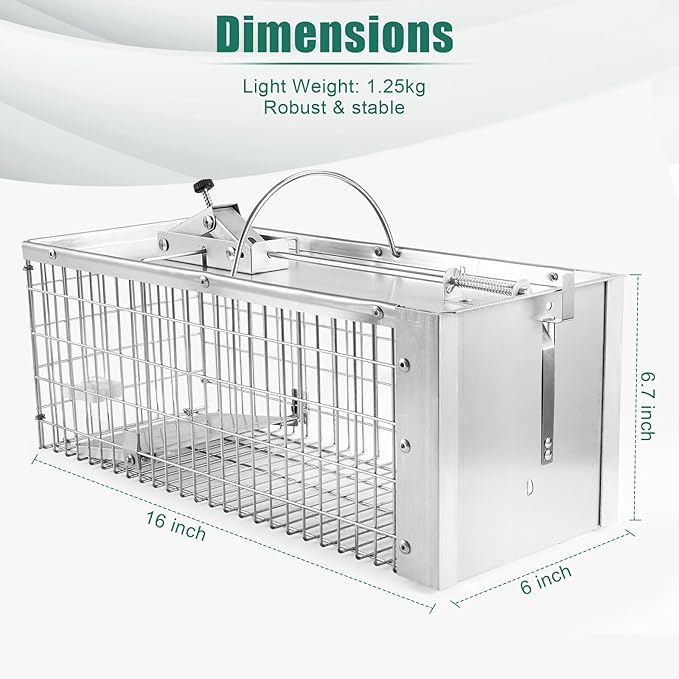 Live Animal Cage Trap Durable Humane Animal Trap for Squirrels Weasels Chipmunks and Small Animals Easy Catch &amp Release (1 Trap)
