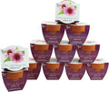 BUZZY Seeds Coneflower Mini Grow Pots 12-Pack – Terracotta Flower Starter Kit DIY Gardening Project Indoor-Outdoor Plant Gift
