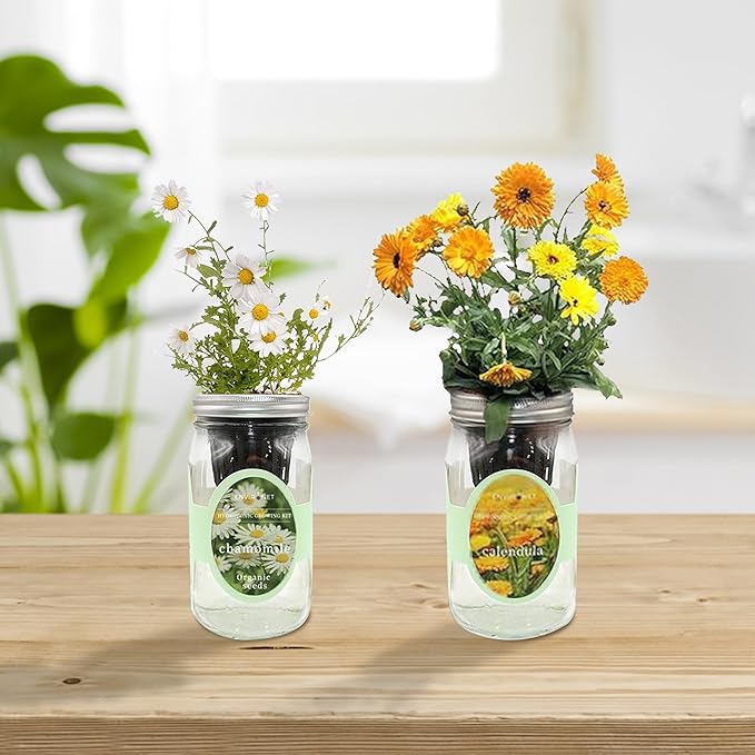 2-Pack Hydroponic Mason Jar Herb Garden Kit Indoor Herb Garden Self-Watering Starter Kit New Christmas Gift for Mom (CalendulaChamomile)