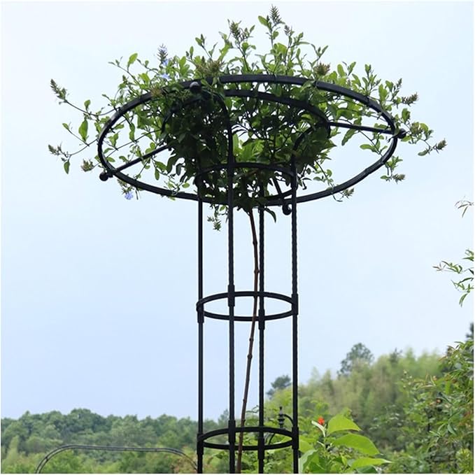 Tower Obelisk Garden Trellis Tall Metal Support Garden Frame Trellis for Indoor/Outdoor Climbing Vines and Flowers(Black90cm)