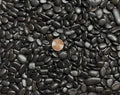 9 Lbs. Black Pebbles for Bonsai Tree Humidity/Drip Tray Lucky Bamboo Aquarium &amp Zen/Fairy Garden