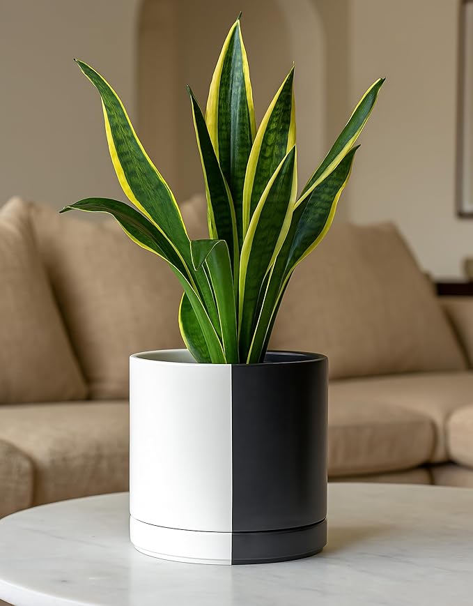D'vine Dev 8.2 Inch Ceramic Planter Pot with Drainage Hole and Saucer Indoor Cylinder Round Planter Pot Split Monochrome Black &amp White 94-O-D-0