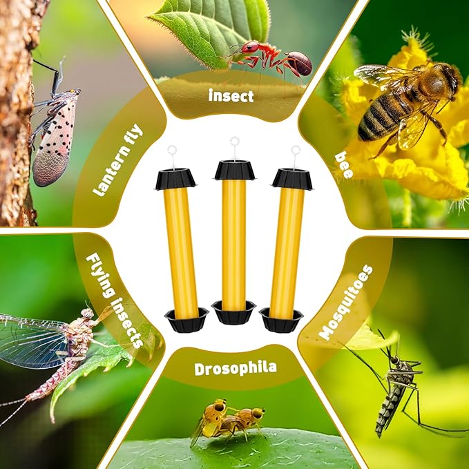 Qualirey Fly Traps for Indoor Outdoor Hanging Fruit Fly Stick Trap Sticky Mosquito for Home Insect 10 x 2.5 Inches(Yellow4 Pcs)