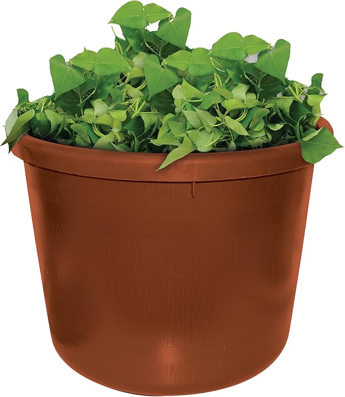 City Pickers Spud Tub Potato Grow Kit – Works Great on Decks and Patios – Low Maintenance &amp High Potato Yields