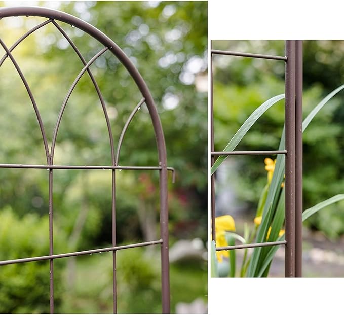 Iron Garden Trellis for Climbing Plants Rustproof Plant Climbing Support Lattice Iron Pipe Support Wall Tall Plant Trellis Fence for Ivy Vines Rose Clematis (Color : One Size : L)