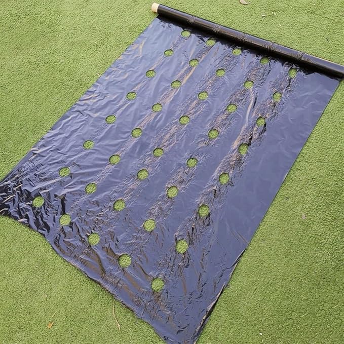 Biodegradeable Weed Control Mulch Film 0.02MM Thickness for Allotments Veg Patch Borders Ground Cover (Size : 0.95x10m with Holes)