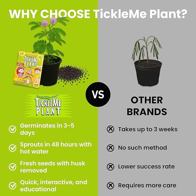 TickleMe Plant Deluxe Family Greenhouse Kit – Grow the Playful Plant that Closes Its Leaves When Tickled! Includes Mini Greenhouse 3 Seed Packets Soil Pellets &amp Pots – Fun Indoor Gardening Gift