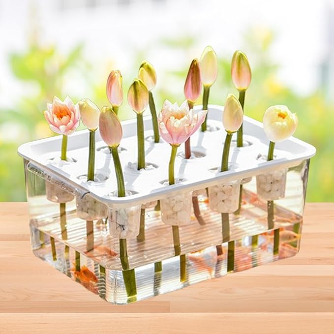 Indoor Hydroponics Tool Hydroponics Grower Kit Rectangular Sturdy 12 Hole Microgreens Growing Kit for Indoor Vegetables Home White Lid