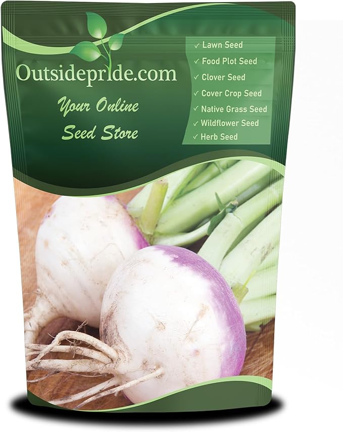 Outsidepride Purple Top Turnip Seeds - 10 Lbs High-Yield High Protein Turnip Seed Ideal Cover Crop for Forage Grazing Livestock High Energy Deer Food Plot &amp Soil Improvement