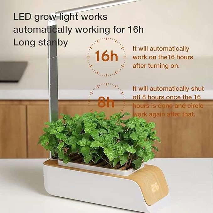 Hydroponic Culture System Plant Flu