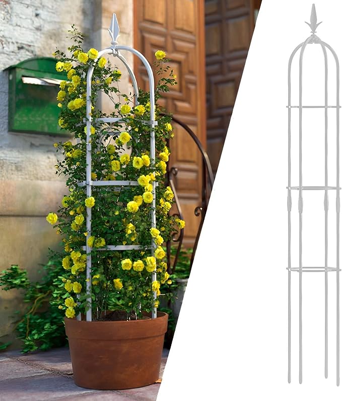 Garden Obelisk Potted Plant Stand Tomato Cage Garden Trellis for Climbing Plants Patio Backyard Flowers Black/White (Color : White Size : 190x25cm)