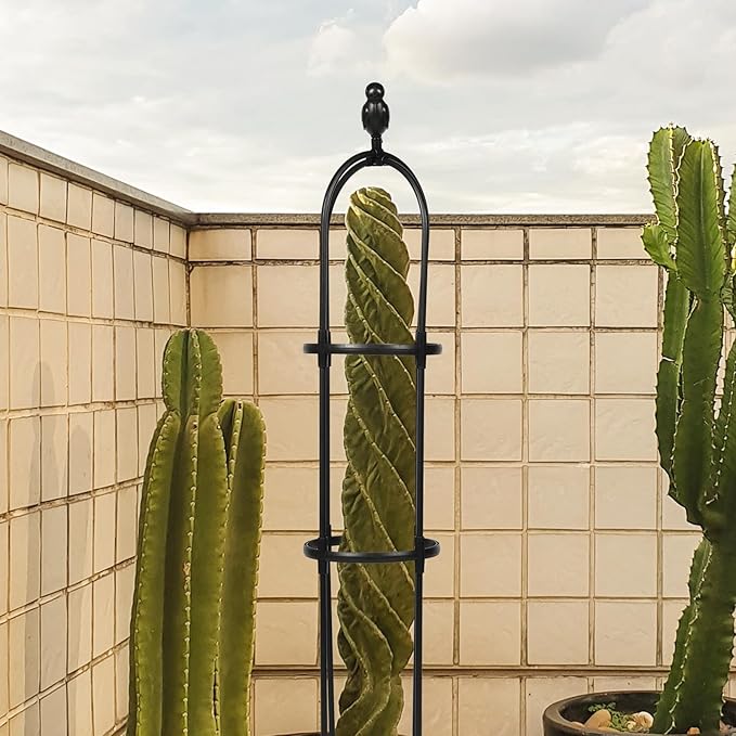 Beaupretty Garden Plant Climbing Trellis for Vines and Flowers Black Iron Wire Plant Support 25cm Diameter and 120cm Height Decorative and Sturdy Climbing Frame for Indoor and Outdoor