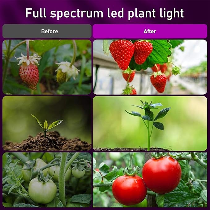 FILFEEL 10W Plant Grow Light Full Spectrum Sunlight 3/9/12 Hour Timer 10-Level Dimming for Large Potted Plants (White 72 Beads)