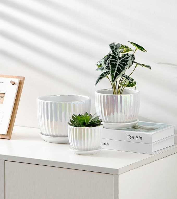 Ton Sin White Plant PotsPearl Gold Ceramic Flower Pots 4+5+6 Inch Indoor Succulent Pot with Drainage Hole - Decorative Orchid Pots and Herb Pots Set of 3
