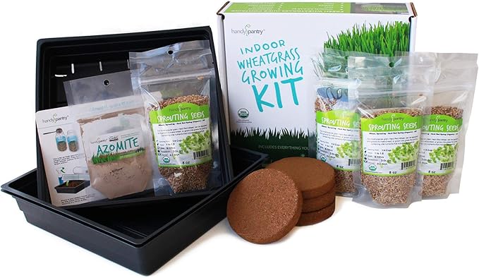 Organic Wheatgrass Growing Starter Kit - Grow &amp Juice Wheat Grass - Includes Non-GMO Organic Wheatgrass Seeds - for Healthy Wheatgrass Shots Home Garden and Cat Grass