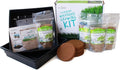 Organic Wheatgrass Growing Starter Kit - Grow &amp Juice Wheat Grass - Includes Non-GMO Organic Wheatgrass Seeds - for Healthy Wheatgrass Shots Home Garden and Cat Grass