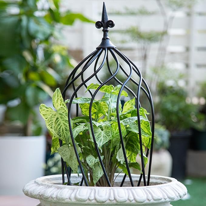 23-Inch Metal Obelisk Trellis for Climbing Plants | Sturdy Iron Design Ideal for Outdoor Roses and Potted Vines | Easy Assembly Compact Vertical Garden Decor for Indoor &amp Outdoor Use