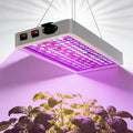 Full Spectrum LED Grow Light for Indoor PlantsPlant Lamp with Hanging Kit Suitable for Seedlings Succulents Flowers &amp Vegetables (B2-2000W)