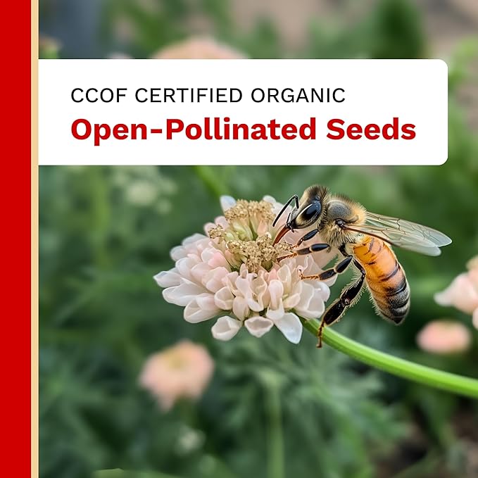 The Harvest Company Organic Pizza Garden Seed Collection – USDA &amp CCOF Certified Organic Non-GMO Open-Pollinated Seeds for Indoor &amp Outdoor Gardening 195 Seeds Total