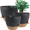 Large Self Watering Pots 12/10/9 Plastic Planters with High Drainage Holes and Deep Reservoir for Indoor Outdoor Garden Plants and Flowers Black with Brown