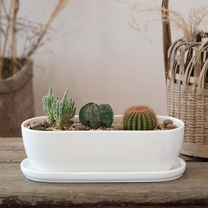 E-liu Ceramic Plant Pots 11+14 inch Set of 2 Planters with Drainage Holes Saucers and Mesh Pads Indoor Flower Succulent Pot with Hole Mesh Pad Gifts for Mom Plants Not Included