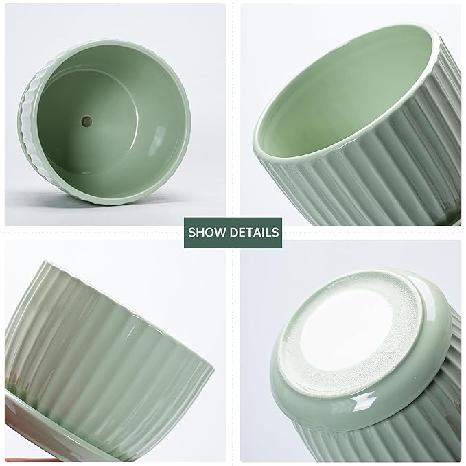 Ton Sin Flower Pots Light Green Ceramic Plant Pots Set of 3Small Glazed Succulent Pots with Drainage HoleCactus Planter with SaucerOutdoor Garden Pots (Green)