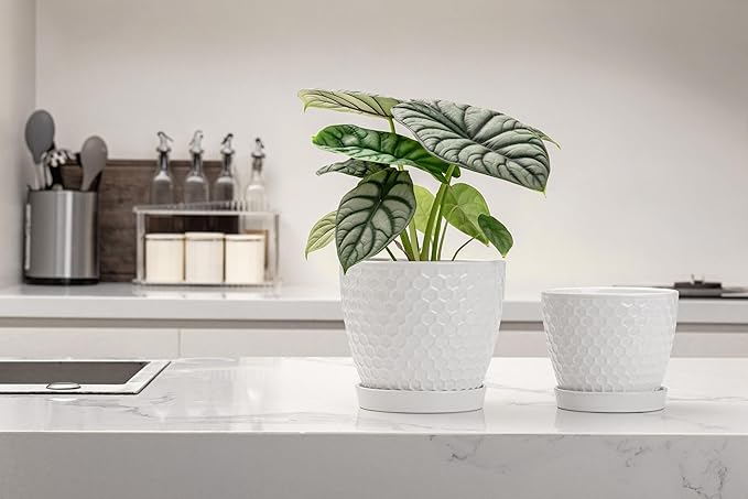 Docrin Ceramic Plant Pots Set of 2 (6.6+5.5) High-Fired Clay Indoor Planters with Drainage Holes &amp Saucer Honeycomb Modern Home Decor for All House Plants