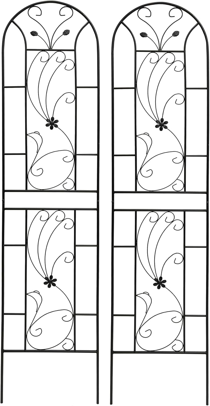 Metal Garden Trellis with Peacock Style 19.7 x 86.7 Inch Iron Arch Frames Heavy Duty Outdoor Flower Support Trellis for Climbing Plants Garden Patio Yard &amp Wedding Decorations (Black Pack of 2)