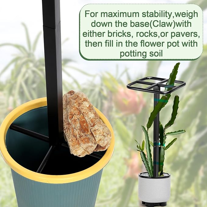 2 Pack 12 x 48 Inch Dragon Fruit Trellis Adjustable Garden Metal Plant Climbing Support with Wide Stretch Ties for Outdoor Vertical Gardens Vining Plants