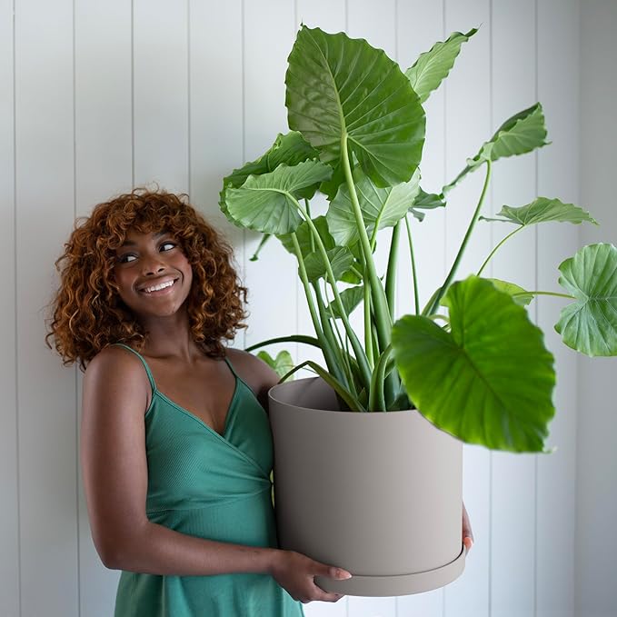Bloem Mathers 12 Pebble Stone Round Modern Resin Garden Planter Pot with Drainage Holes and Removable Saucer Tray Included