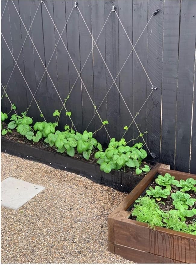 Espalar Surface Mounted Heavy Duty Universal Espalier/Trellis Kit for Climbing Plants Vines and greenwalls (Wire Included).