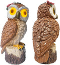 1 KINGO Fake Owl Decoy Bird Deterrents for Outside Solar Powered LED Eyes &amp Ultrasonic Deterrent Scarecrow Owl Decoys to Scare Birds Away Bird Repellent Devices Outdoor Resin Garden Statues