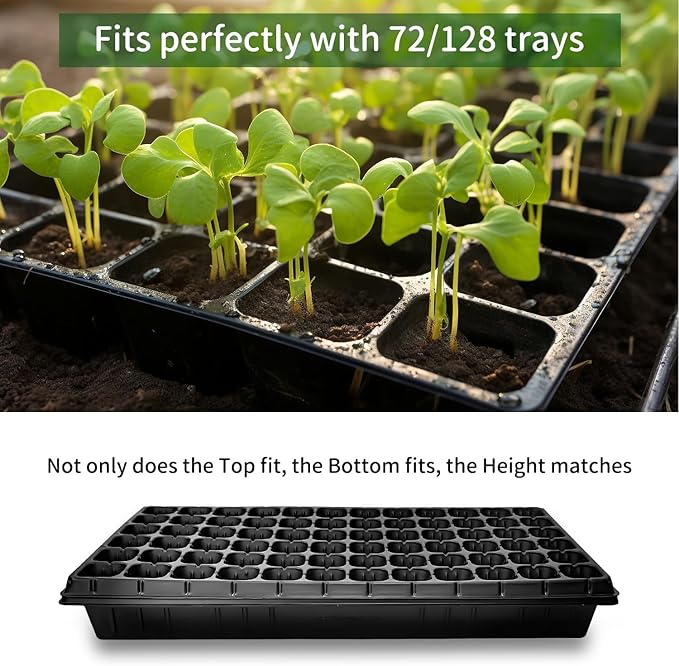 20 Pack Shallow 1020 Trays No Holes Heavy Duty Reusable Seed Starter Flat Seedling Tray for 72/128 Cell Plug Tray Transplant Microgreen &amp Seed Germination (21×11 1.6 Deep TD538)
