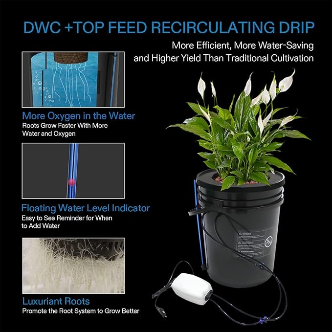 RDWC Hydroponics System Kit 5 Gallon Deep Water Culture (DWC) Bucket Kit Recirculating with Air Pump Air Stone for Indoor Growing Complete 1 Bucket + Reservoir
