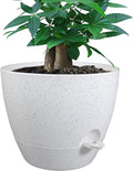 12 inch Large Self Watering Pots Plastic Planters with 60oZ Removable Deep Reservoir and Multi Mesh Drainage Holes for Indoor Outdoor Garden Plants and Flowers White Speckles