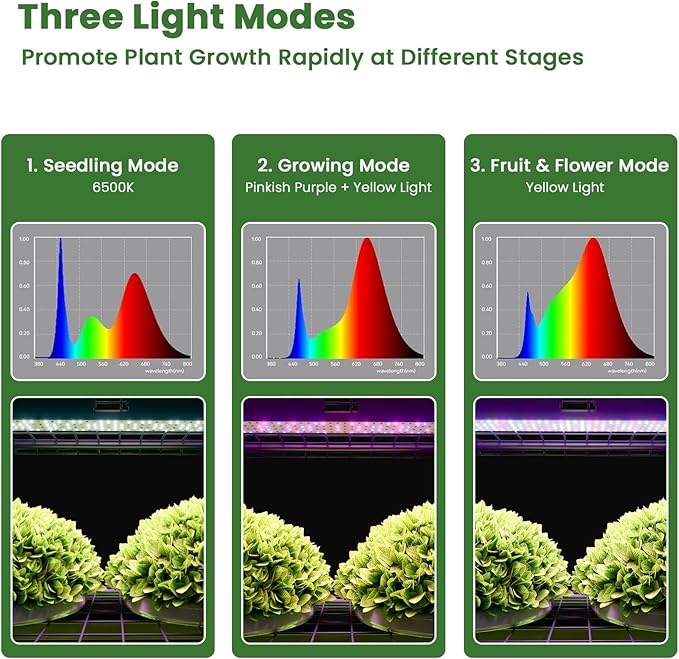 Indoor Greenhouse with Grow Lights 4 Tier 27 L×19 W×62 H Mini Greenhouse with Zippered PVC Cover for Seed Starting Trays Dimmable 2FT 60W Plant Light for Indoor Plants with Timer