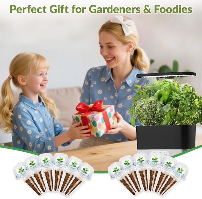 Salad Seed Pods Kit Hydroponic - 12 Refill Grow Pods with 6-Packet Seeds of Mini Cucumber Arugula Spinach Cherry Radish Red &amp Yellow Cherry Tomato Compatible with All Hydroponics Growing Syst