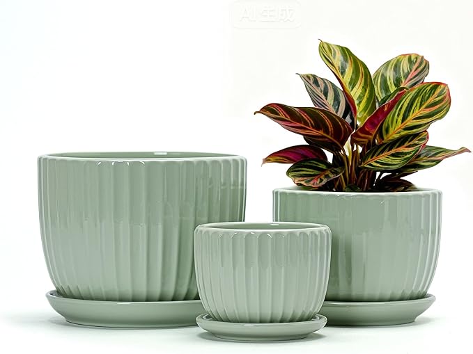 Ton Sin Flower Pots Light Green Ceramic Plant Pots Set of 3Small Glazed Succulent Pots with Drainage HoleCactus Planter with SaucerOutdoor Garden Pots (Green)