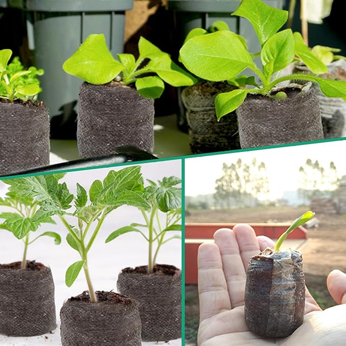 Peat Pellets for Seedlings 50PCS 2 inch Seed Starter Pods Compressed Peat Moss for Plants Breathable Seed Starter Pellets for Garden Herbs Flowers Vegetables