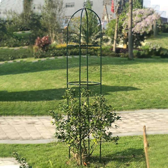 Garden Plant Support Stakes Iron Tower Obelisk Trellis Flower SupportTrellis Support Metal FrameOutdoor Lightweight Plant Tower Black Steel Tall Tower for Climbing Vines Rose and Plants(Green L)